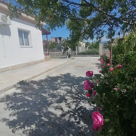 Vakantiehuis House *